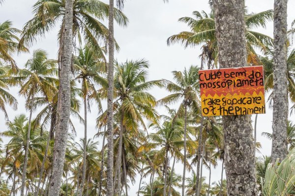 Créez un espace moderne avec un carport monopente en bois