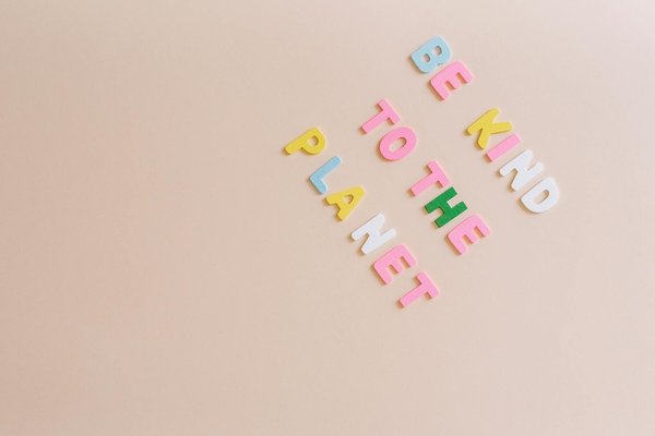 Les Répercussions Écologiques de la Déforestation sur le Climat Mondial